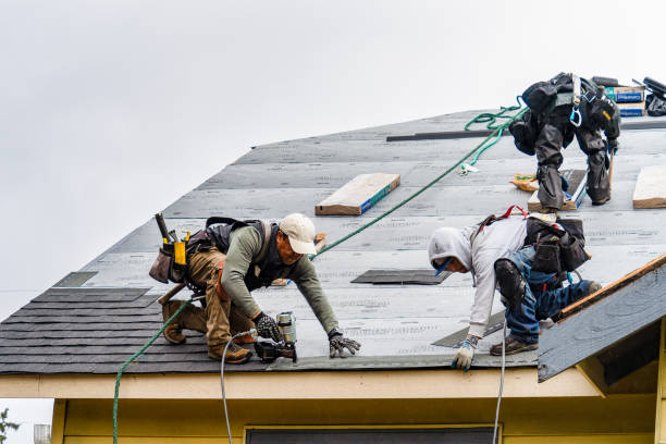Professional Gutter Installation technician working in Springfield, GA
